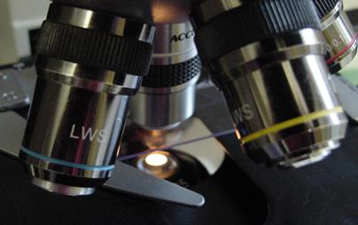 Photo of microscope Photo of microscope
