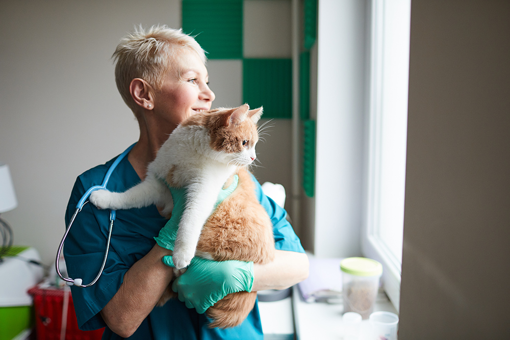 Pet Wellness - Woman Holding Cat Pet Wellness - Woman Holding Cat
